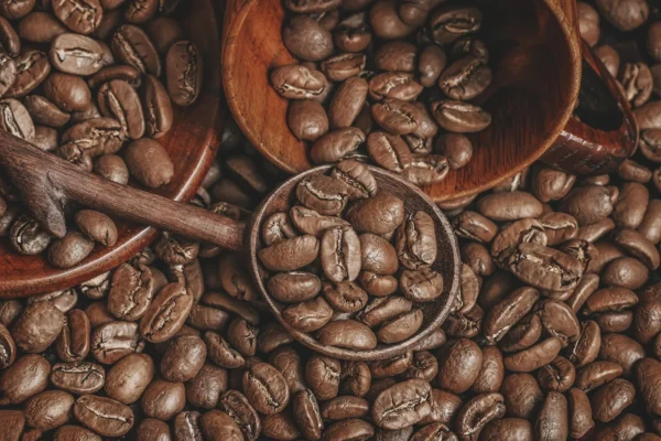 Robusta Coffee Beans