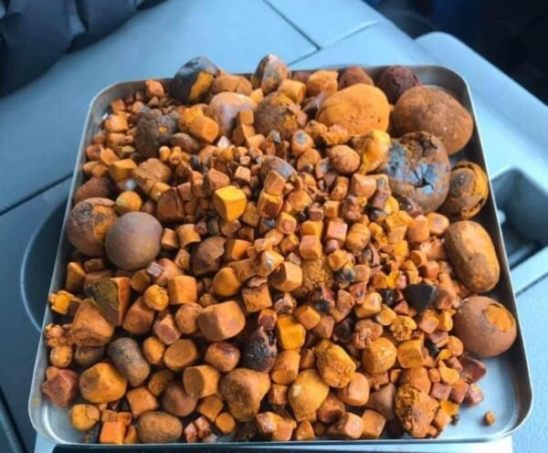 Ox Gallstones
